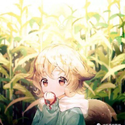 国际局势